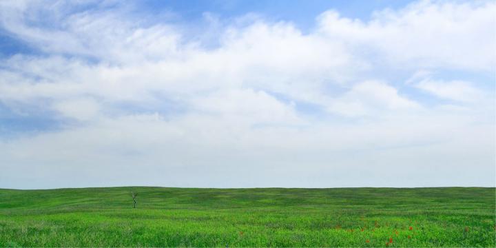 Set the Windows 10 Lock Screen Photo as Your Desktop Wallpaper
