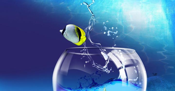 windows 7 animated wallpaper - Free Desktop Wallpaper
