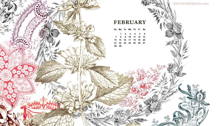 Desktop Wallpapers Calendar February 2016