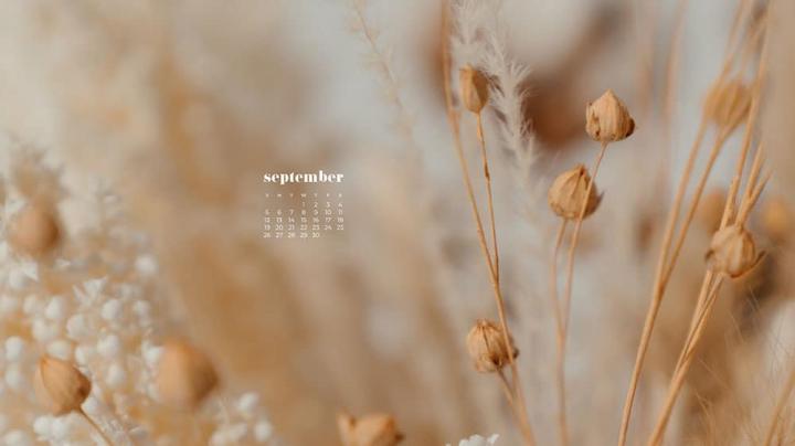 September 2021 wallpapers \u2013 35 FREE calendars for desktop and phones!