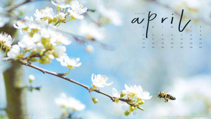 Desktop Wallpapers Calendar April 2016