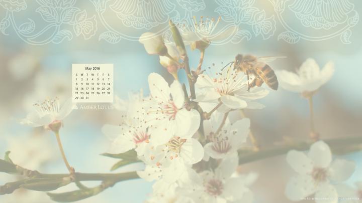 Desktop Wallpaper Calendar \u2014 May 2016 \u2014 Free to Download - Amber Lotus 