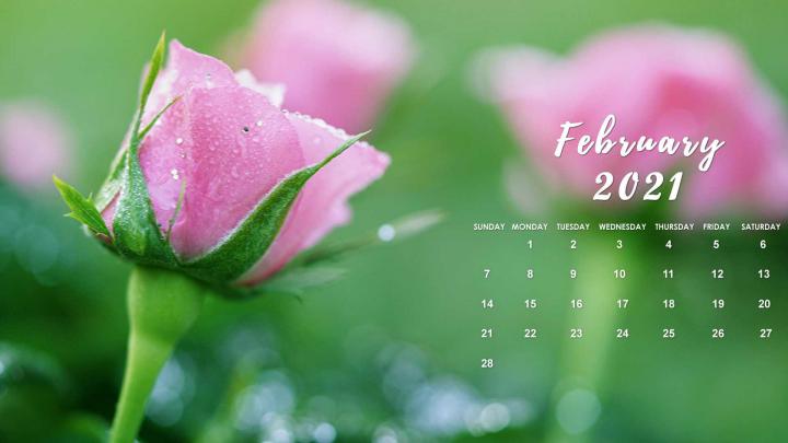February 2021 Phone Wallpaper : February 2021 Flowers Desktop Calendar 
