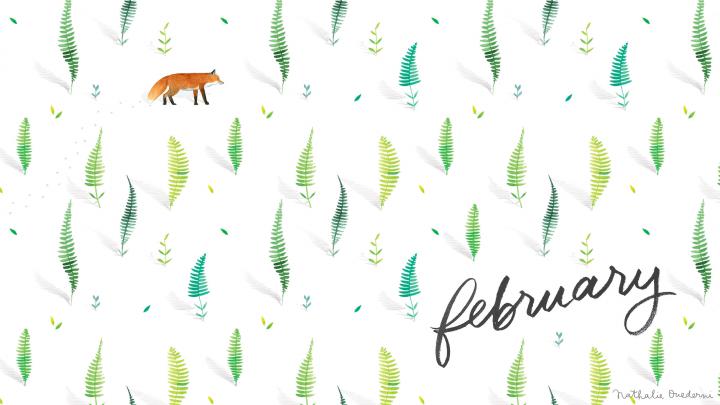 February Desktop Wallpapers (66+ background pictures)