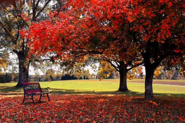 Free Fall Backgrounds Desktop
