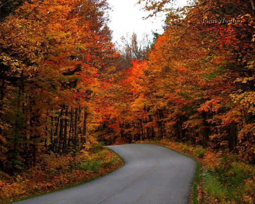 Autumn Path Wallpaper | Free Wallpapers