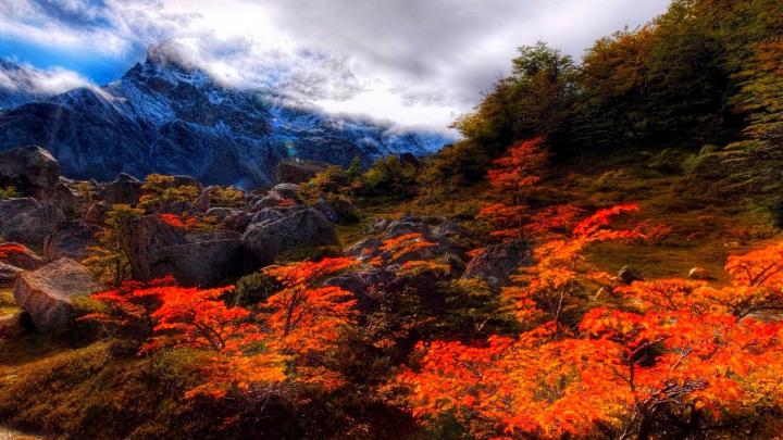 Desktop Wallpaper Fall Scenes (49+ pictures)
