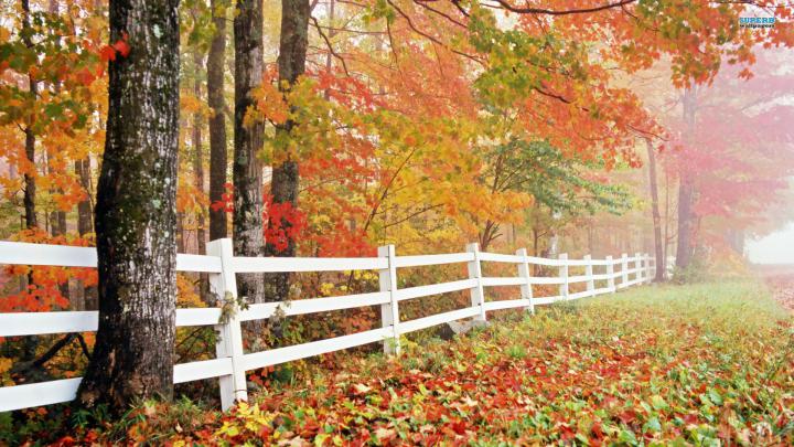Nature Wallpaper Autumn Free 1 Desktop Wallpapers Hd - Fall Backgrounds 