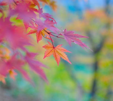 Early Fall Desktop Wallpapers (43+ images)
