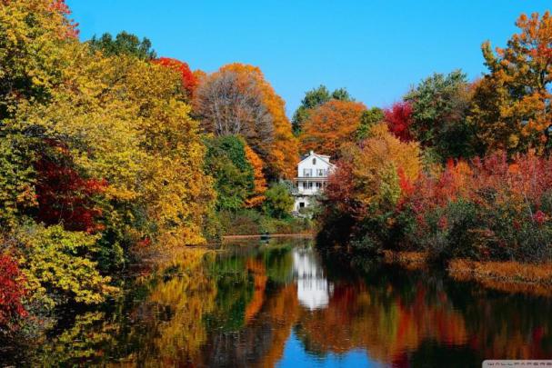 Fall wallpaper HD \u00b7\u2460 Download free wallpapers for desktop, mobile 