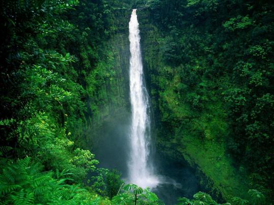 Free Hawaii Desktop Wallpapers