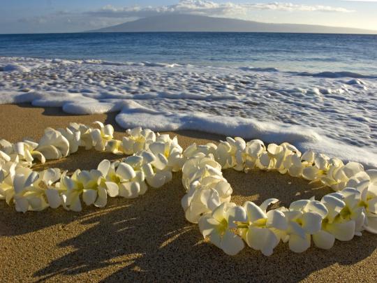 Maui Hawaii Desktop Wallpaper (47+ images)