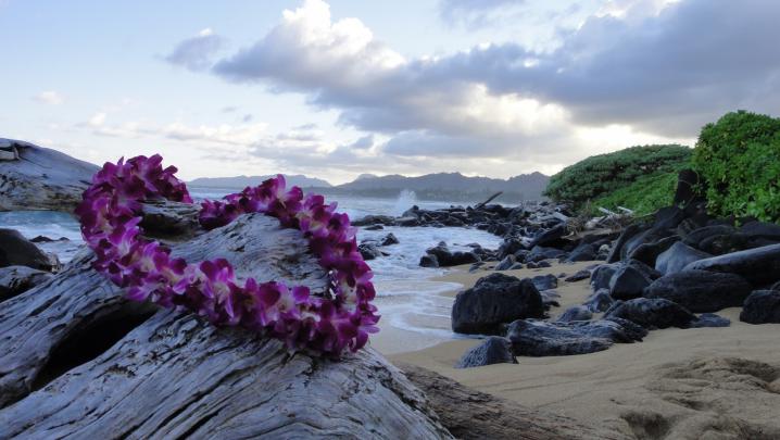 Maui Hawaii Desktop Wallpaper (47+ images)