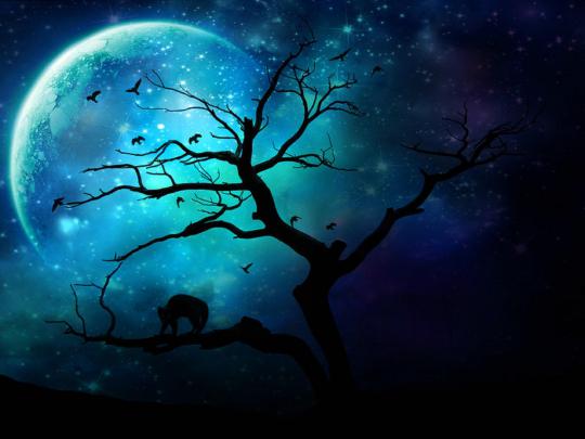 Dark Moon Wallpapers