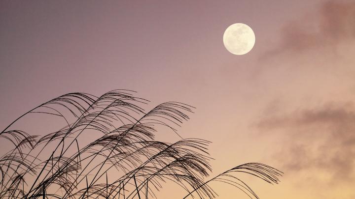 Japanese Moon \u2013 Bing Wallpaper Download