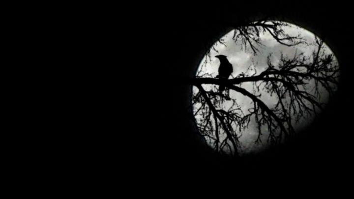 Moon Desktop Wallpapers (73+ background pictures)