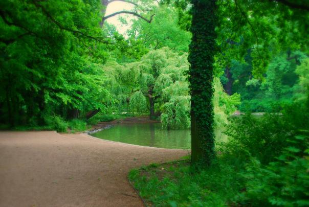 landscape, Nature, Blurred Wallpapers HD \/ Desktop and Mobile Backgrounds