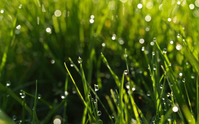 Nature Wallpapers HD