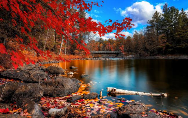 nature Wallpapers HD \/ Desktop and Mobile Backgrounds