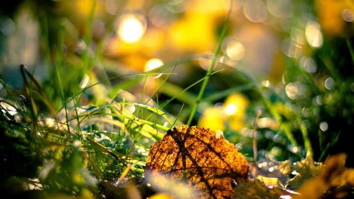 1080p HD Wallpaper Nature | AirWallpaper.Com