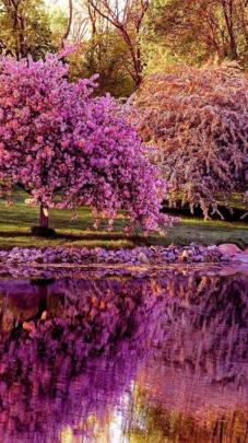 Nature Android HD Wallpapers