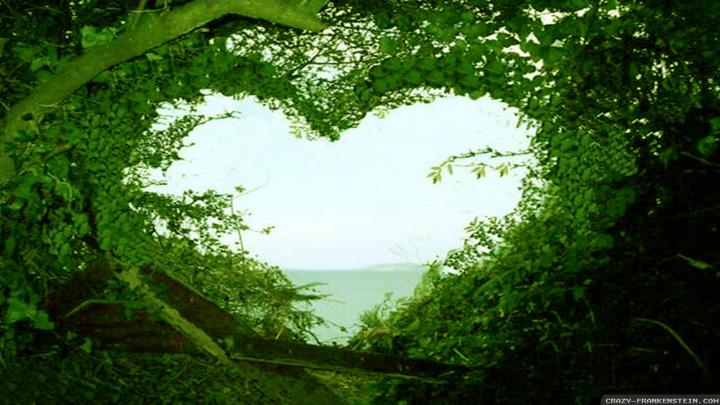 Nature Love Wallpaper HD - 