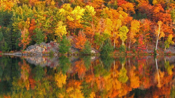 October Morning \u2013 Bing Wallpaper Download