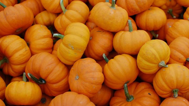 October Desktop Wallpaper Download | THE JOY BLOG