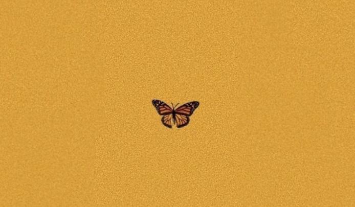 Laptop Backgrounds Aesthetic Butterfly : 40 Aesthetic Butterfly Andro
