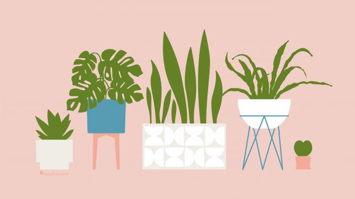 Plant Desktop Wallpapers