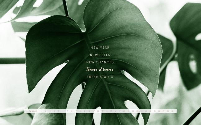 Plant Desktop Wallpapers