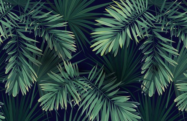 Green Plants Wallpapers