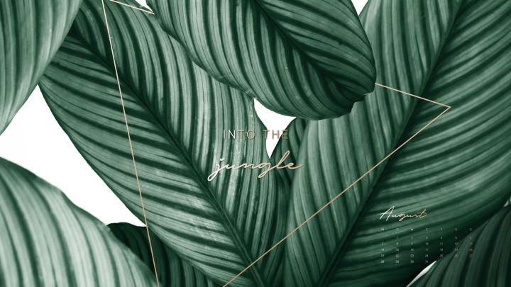 Plant Desktop Wallpapers