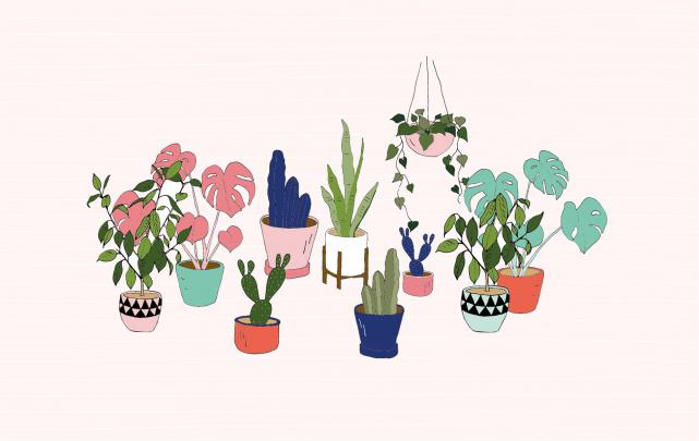Desktop Plants Wallpapers