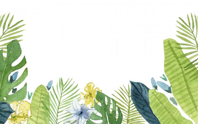 Cute Plant Computer Wallpapers