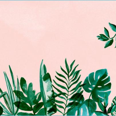 Aesthetic Minimalist Plant Desktop Wallpapers