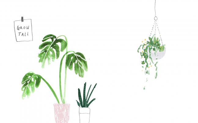 Desktop Wallpaper - Plant Aesthetic Wallpapers Computer - 2048x1280 