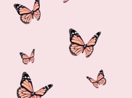 Rose Gold Iphone Aesthetic Butterfly Wallpaper