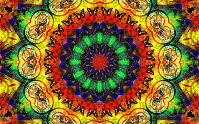 Psychedelic Desktop Backgrounds (69+ images)