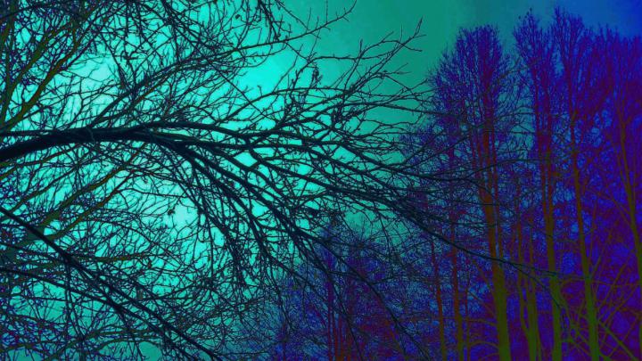 Trippy wallpapers 4k HD Desktop Background \u2013 WallpaperDash
