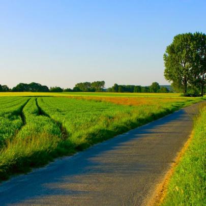 Free Download Summer Windows 10 Wallpaper Hd 1920x1080 Nature - 3d 