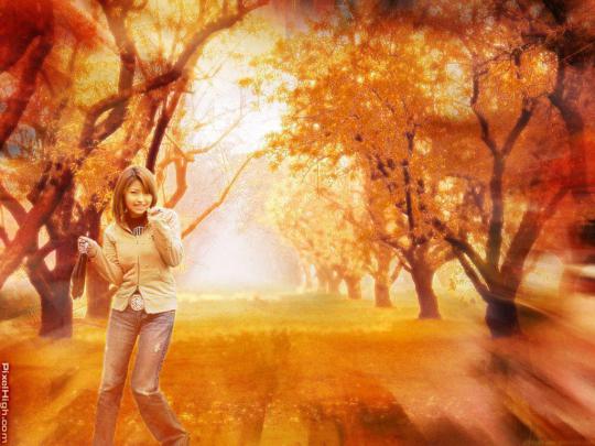 Cute Fall Wallpapers
