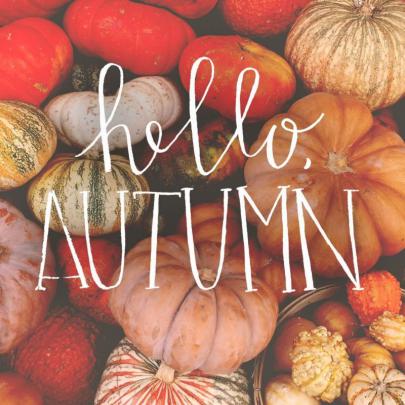 Autumn, Fall, And Pumpkin Image - Cute Computer Backgrounds Fall 