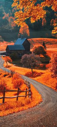1001+ ideas To Decorate Your Screen With A Fall iPhone Wallpaper
