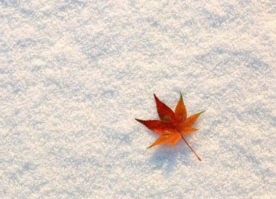 Cute Fall Wallpaper -