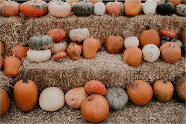 Image result for aesthetic fall | Desktop wallpaper fall, Cute fall 