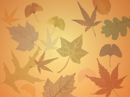 Cute Autumn Wallpapers (23 Wallpapers) \u2013 Adorable Wallpapers