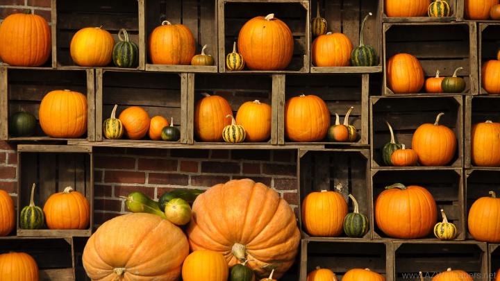 Fall Pumpkin Wallpaper for Desktop (57+ images)