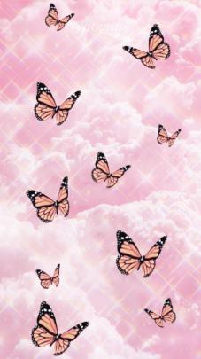 Cute Aesthetic Pink Butterfly Wallpapers