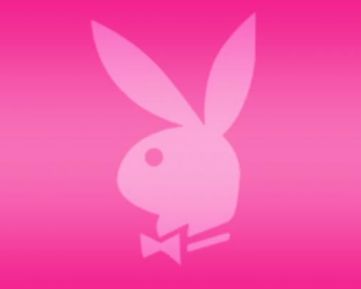 [50+] Pink vs Wallpapers for Desktop 